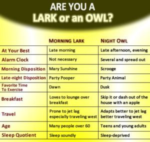 Lark or an Owl