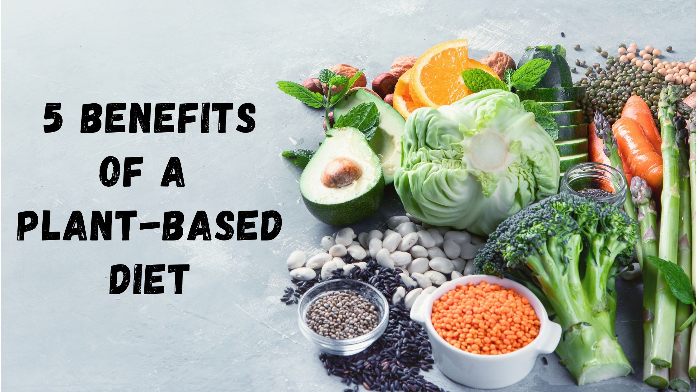 5 Benefits Of A Plant Based Diet Create Your Happy
